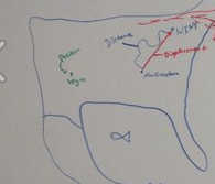 Screen shot 2013-02-12 at 10.05.22 AM