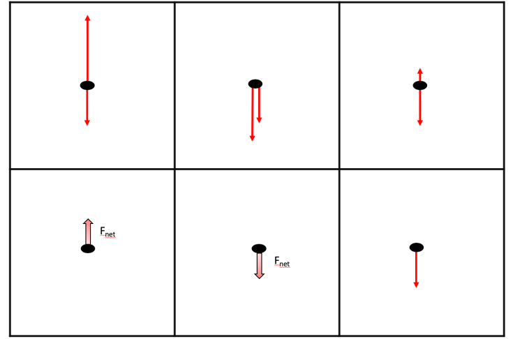 Screen Shot 2019-11-12 at 11.51.44 AM