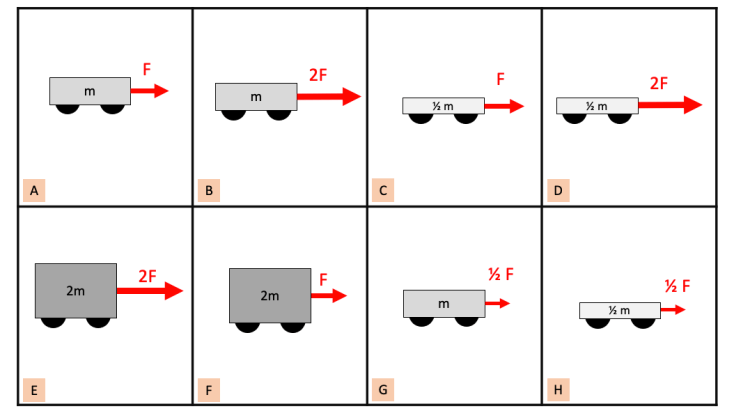 Screen Shot 2019-11-19 at 1.40.06 PM