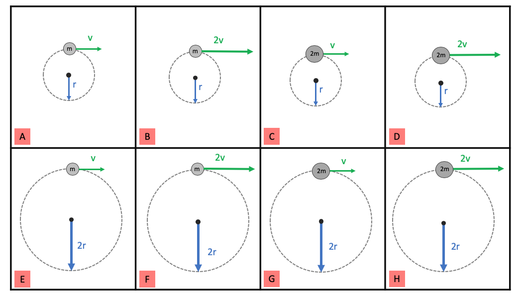 Screen Shot 2019-11-19 at 1.40.30 PM