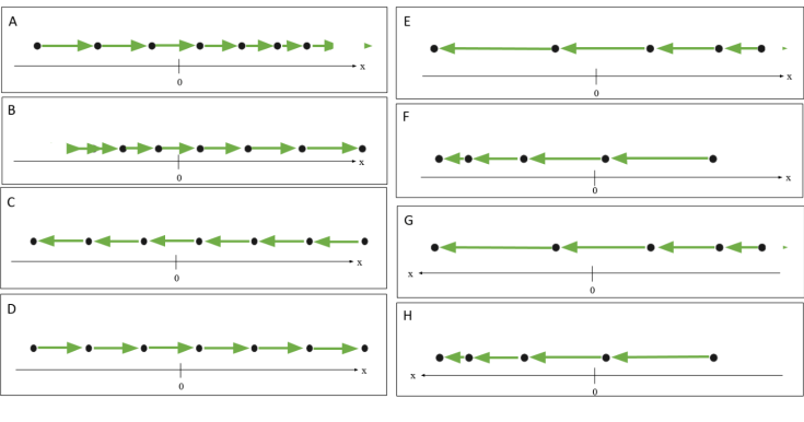 Screen Shot 2020-02-03 at 5.44.29 AM